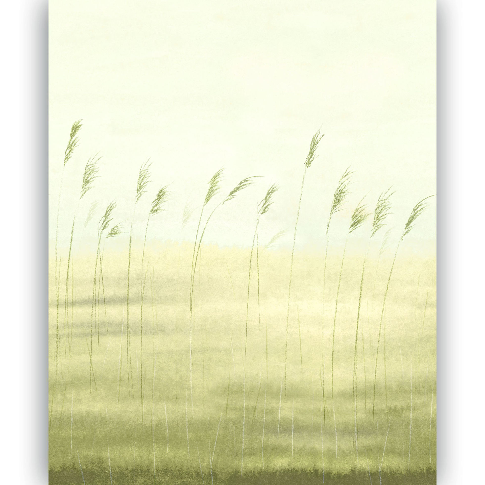 200082705.1
