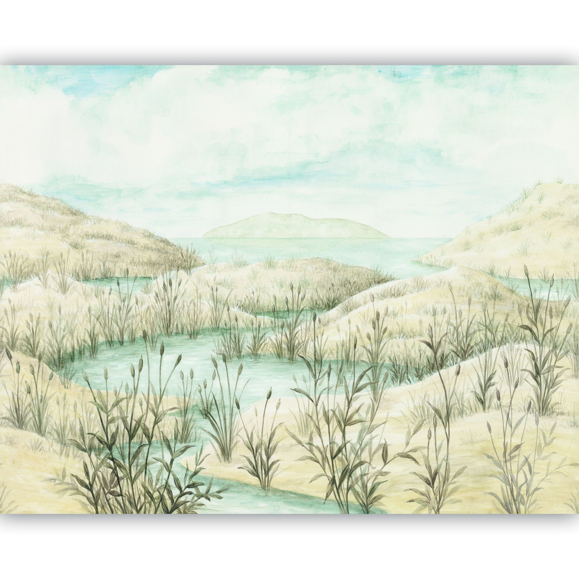 200971212.1