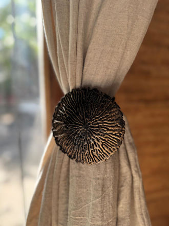 Imagen de MAGNET CORALLY / BLISTER BRONZE