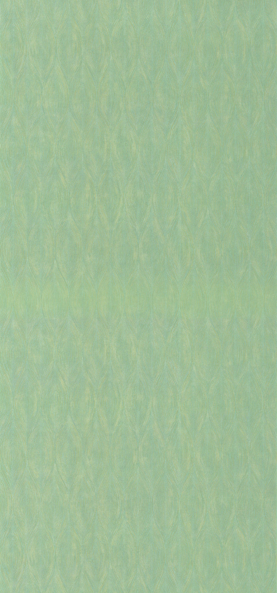 76113058