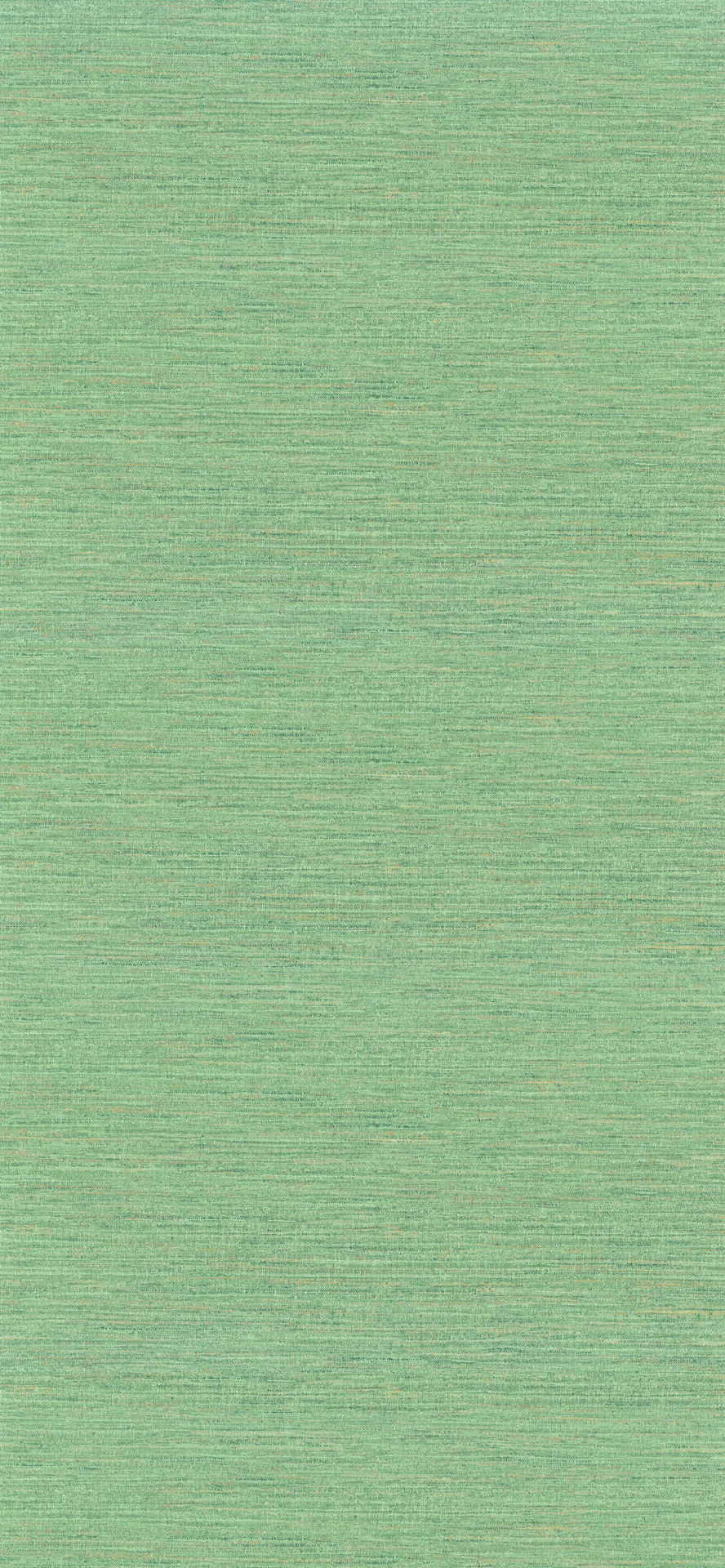 76232650.1