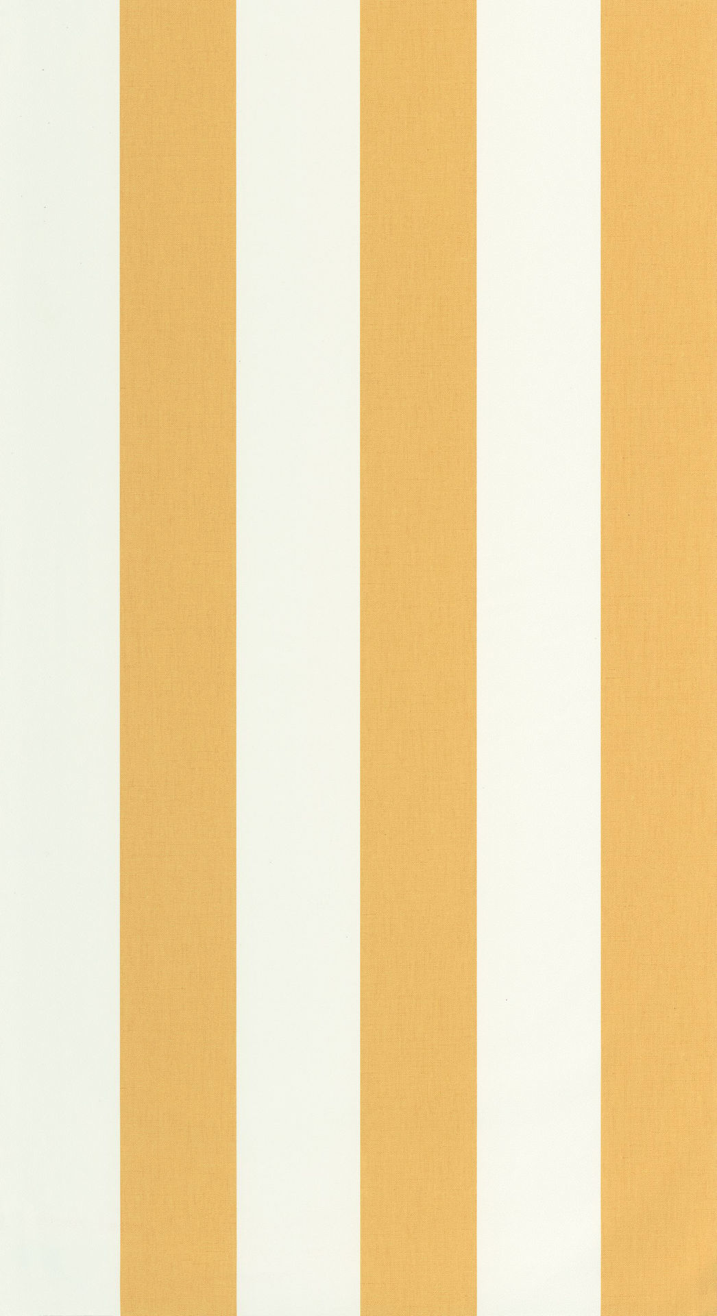 Imagen de PAPEL CASELIO LINE UP