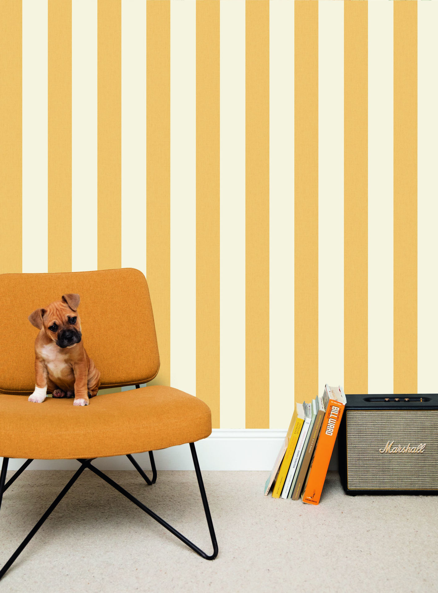 Imagen de PAPEL CASELIO LINE UP