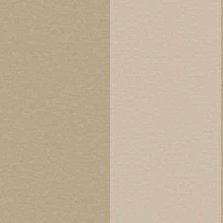 Imagen de PAPEL CASELIO LINE UP