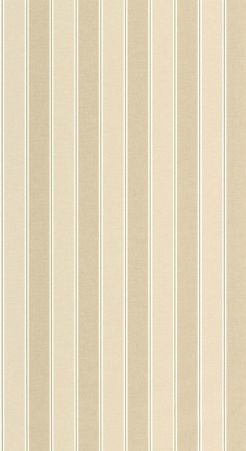 Imagen de PAPEL CASELIO LINE UP