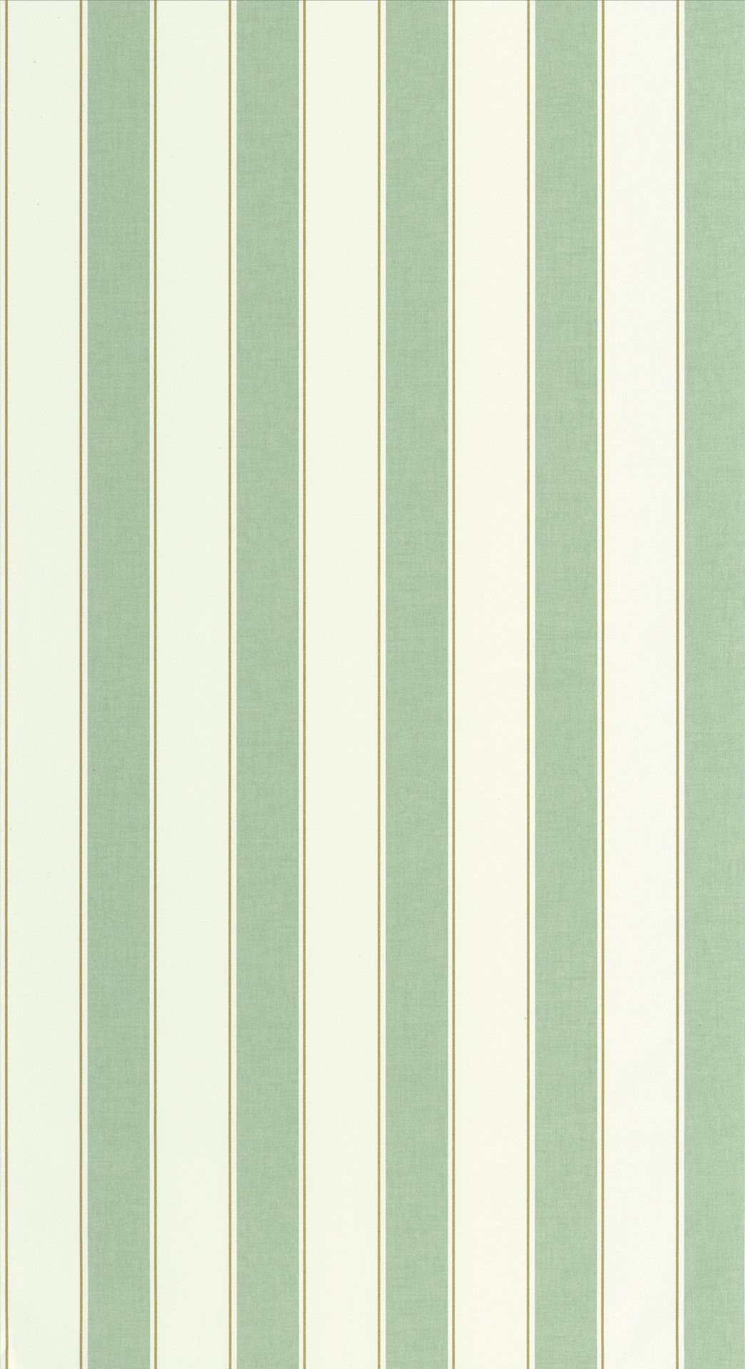 Imagen de PAPEL CASELIO LINE UP