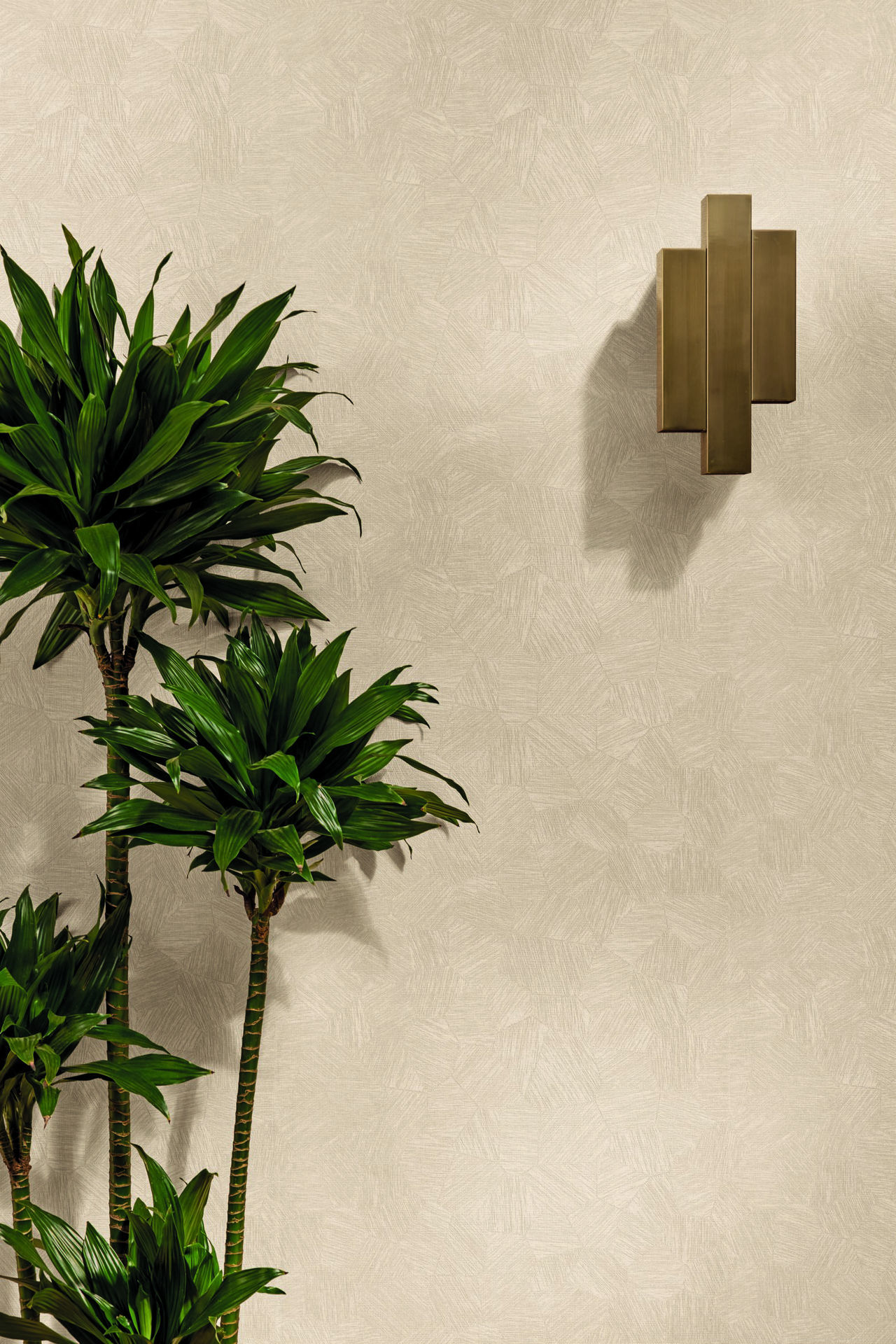 Imagen de PAPEL CASELIO SYMPHONY