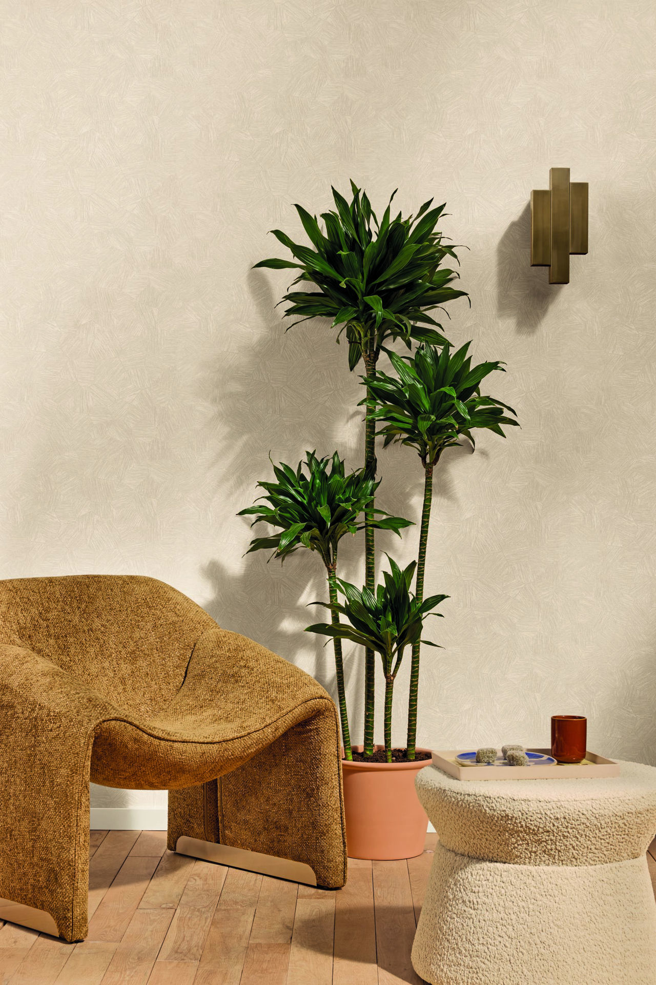 Imagen de PAPEL CASELIO SYMPHONY