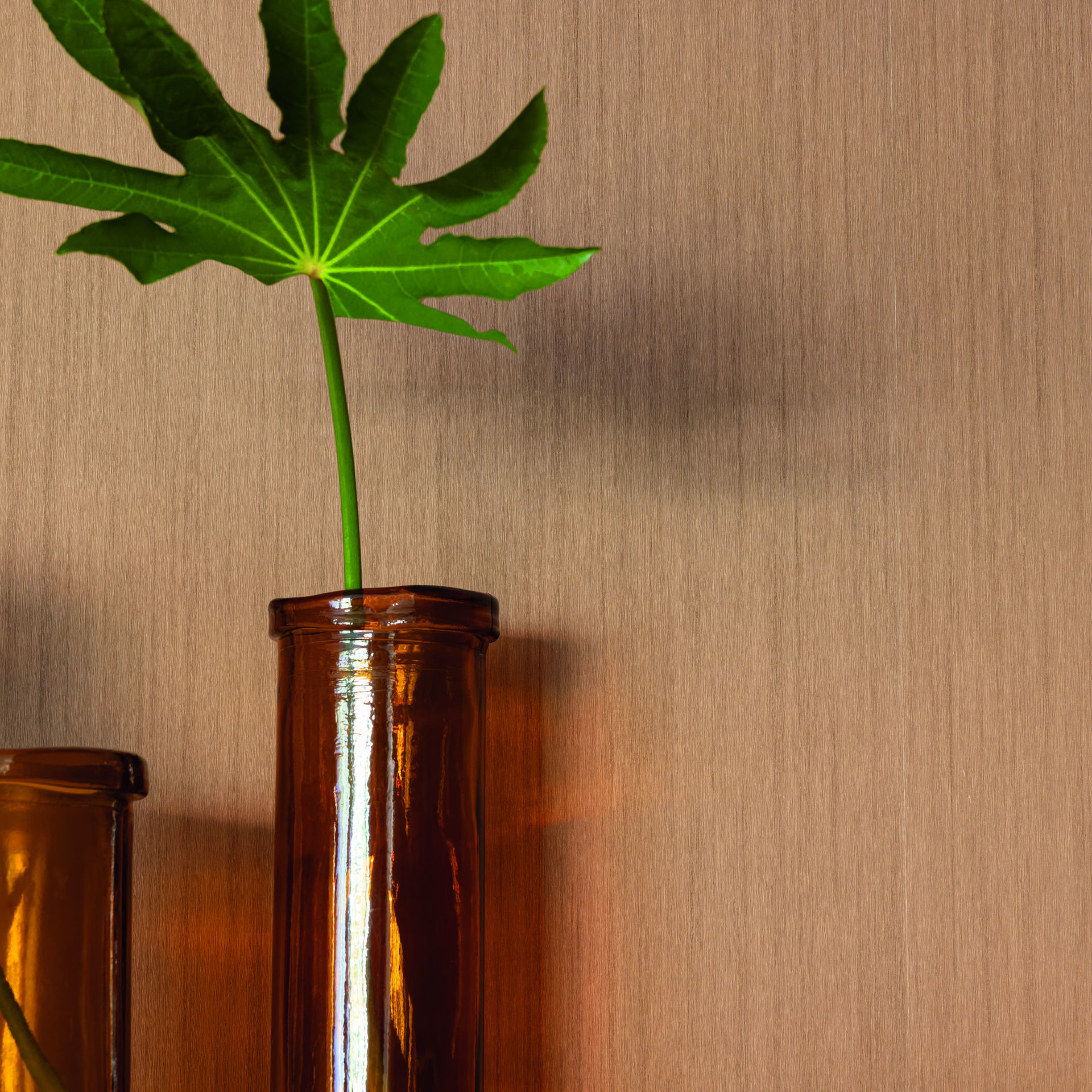 Imagen de PAPEL CASELIO WOODLINE