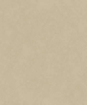 SOCO201001313