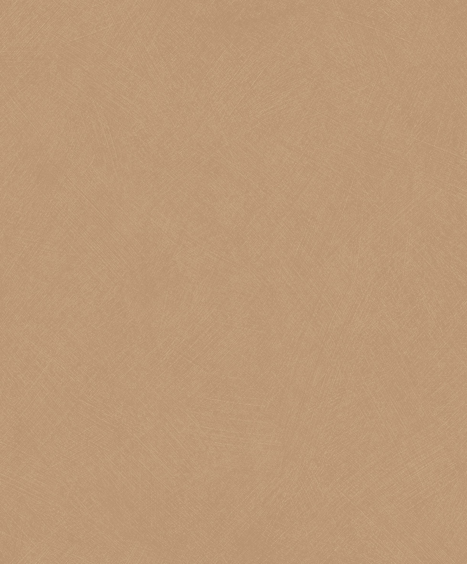 SOCO201003404