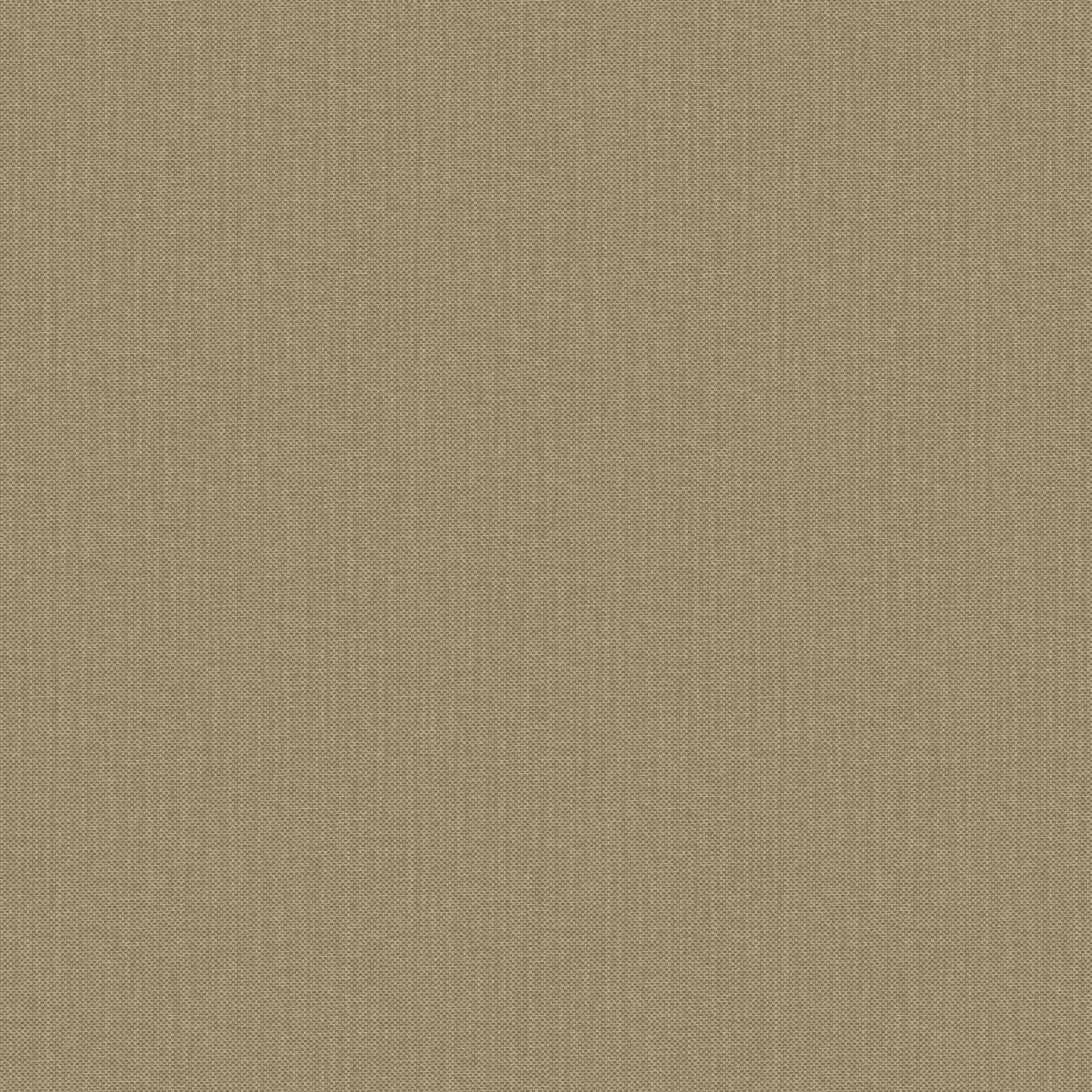 NAE2101561856