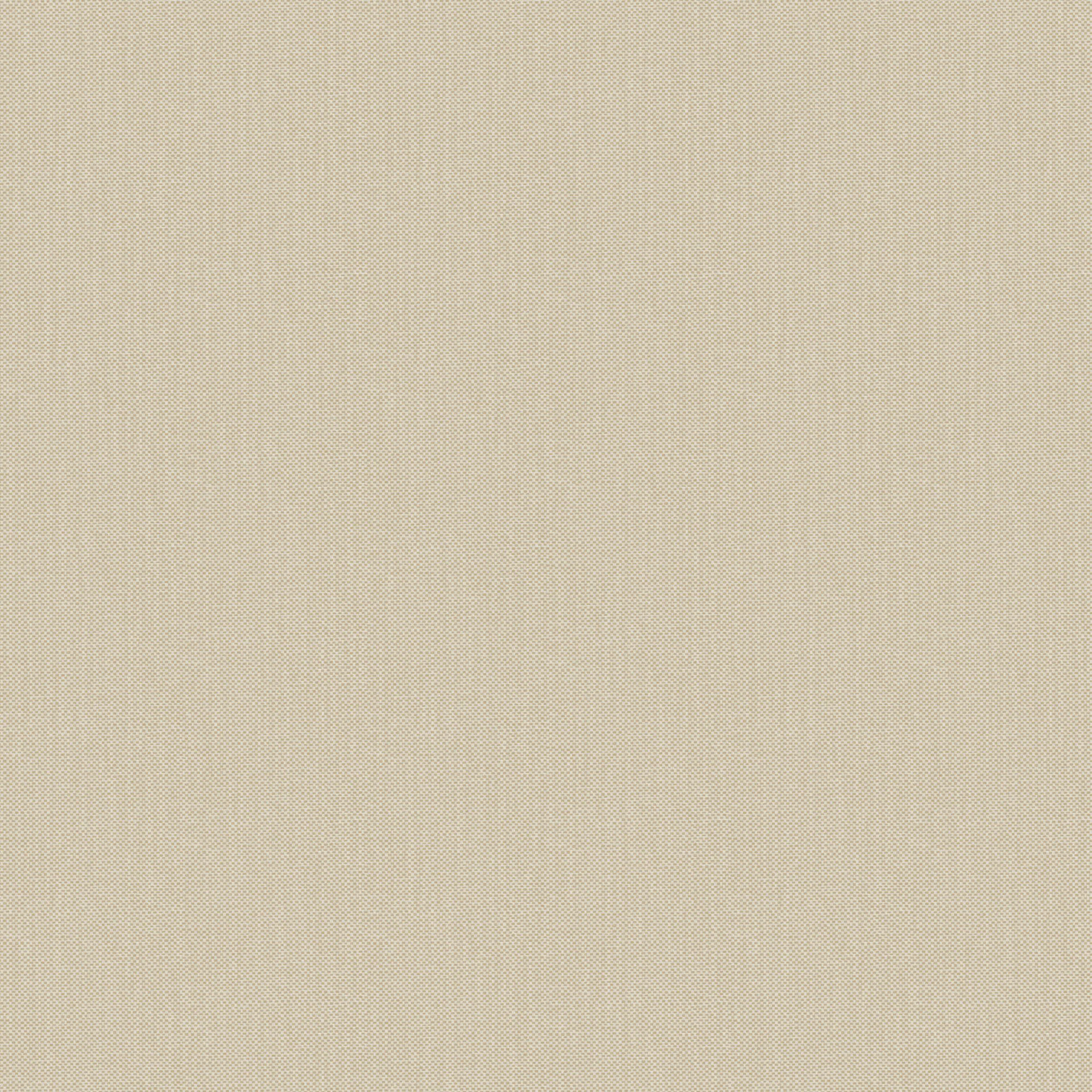 NAE2101560032