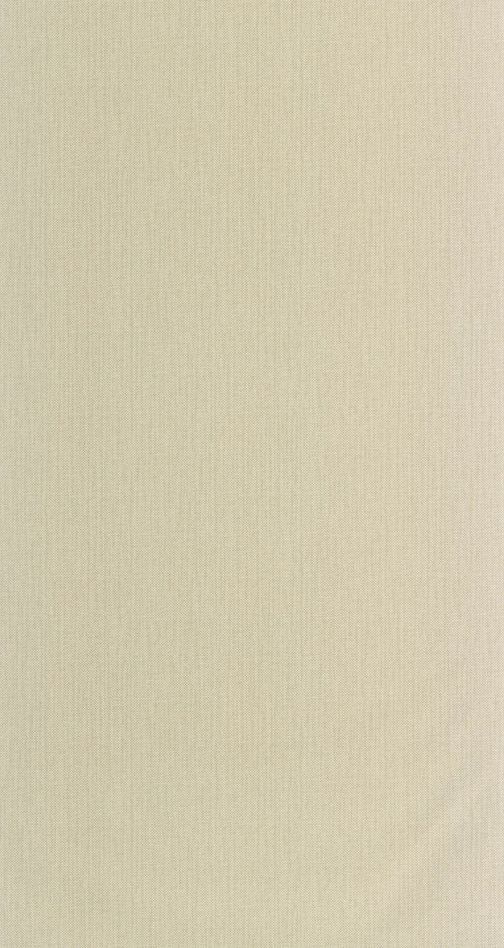 papel NAE2101560032