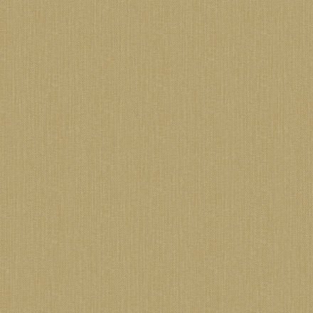 NAE2101561047