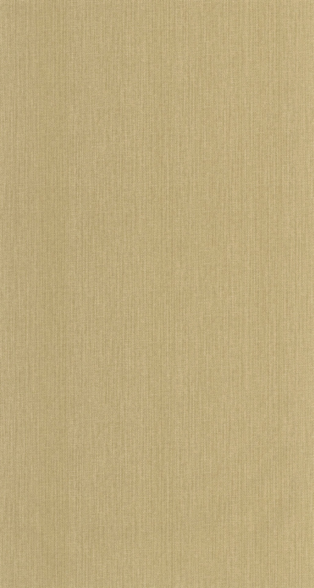 CASELIO NAE2101561047