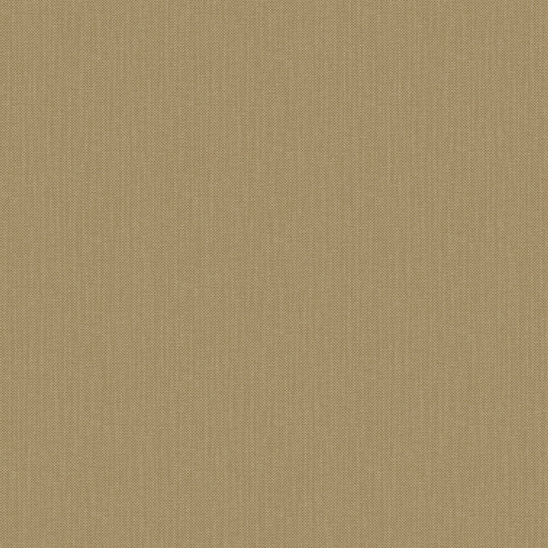 NAE2101561670