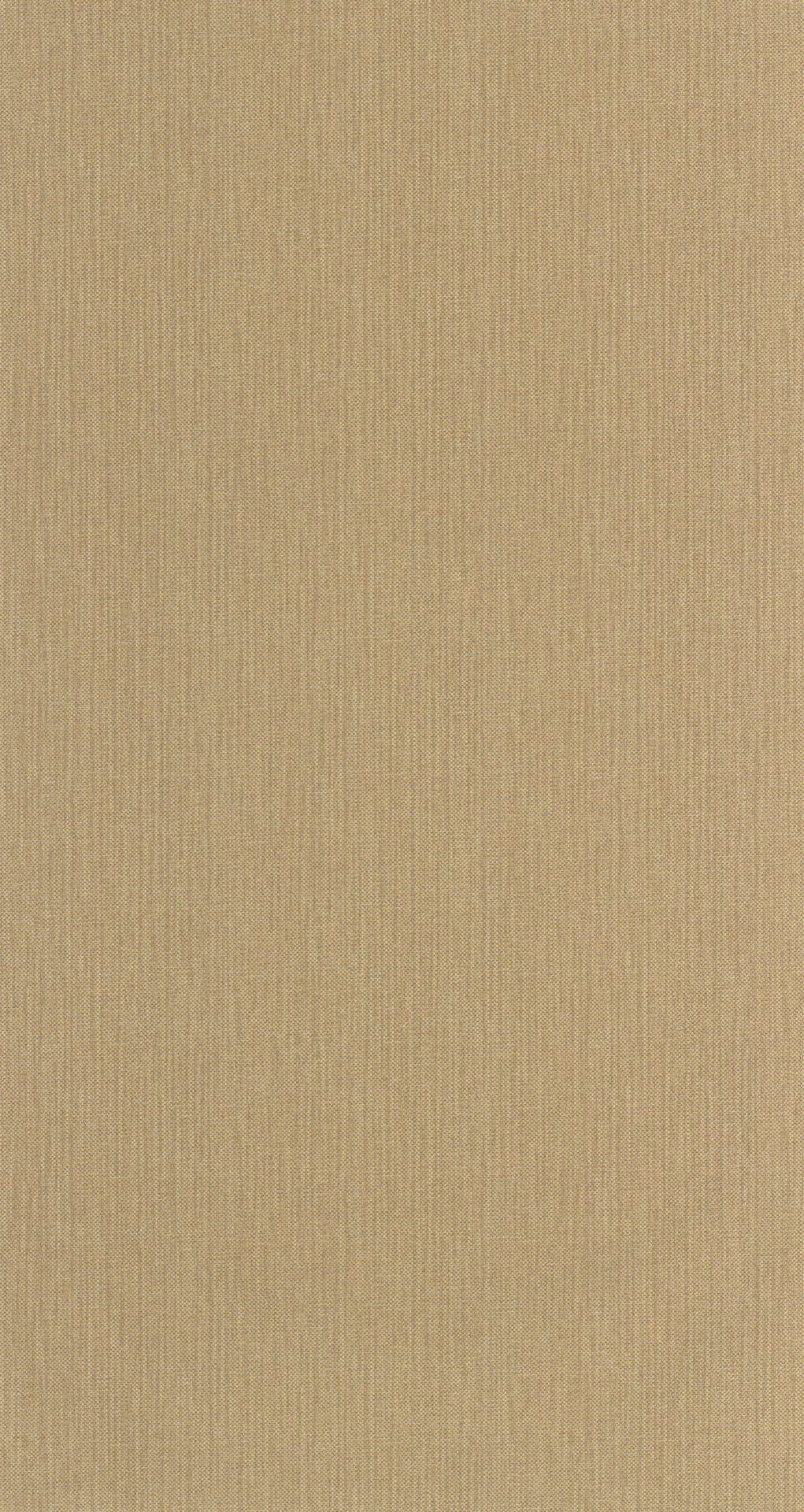 CASELIO NAE2101561670
