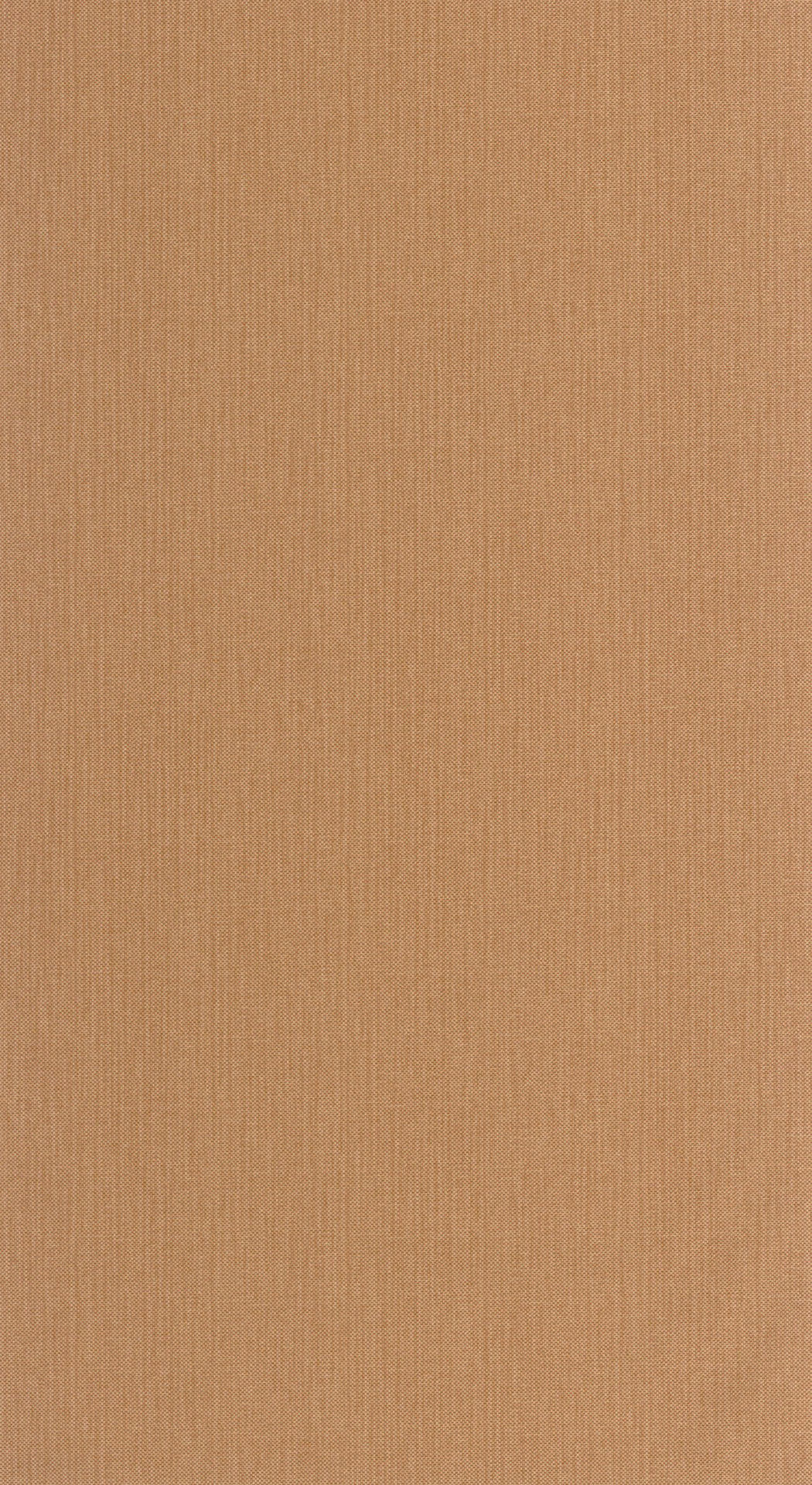 CASELIO NAE2101561700