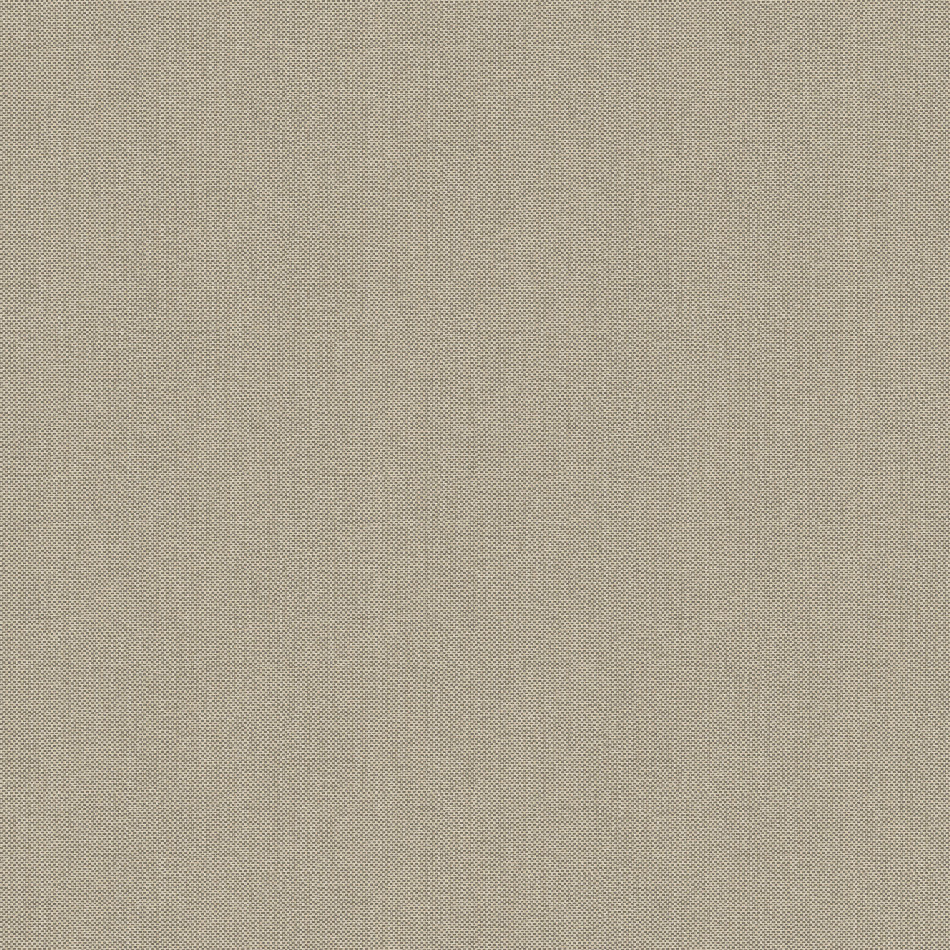 NAE2101561904