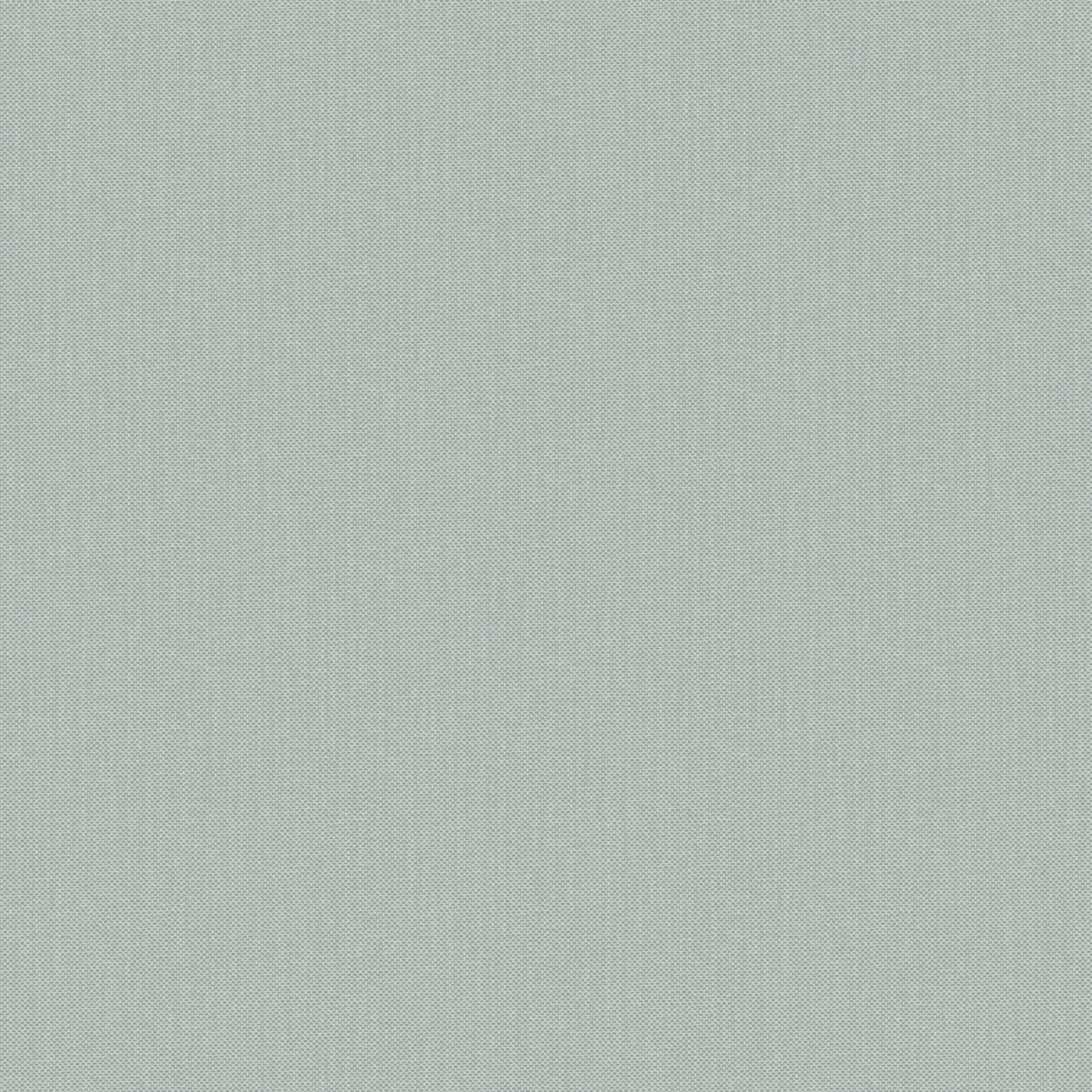 NAE2101566007