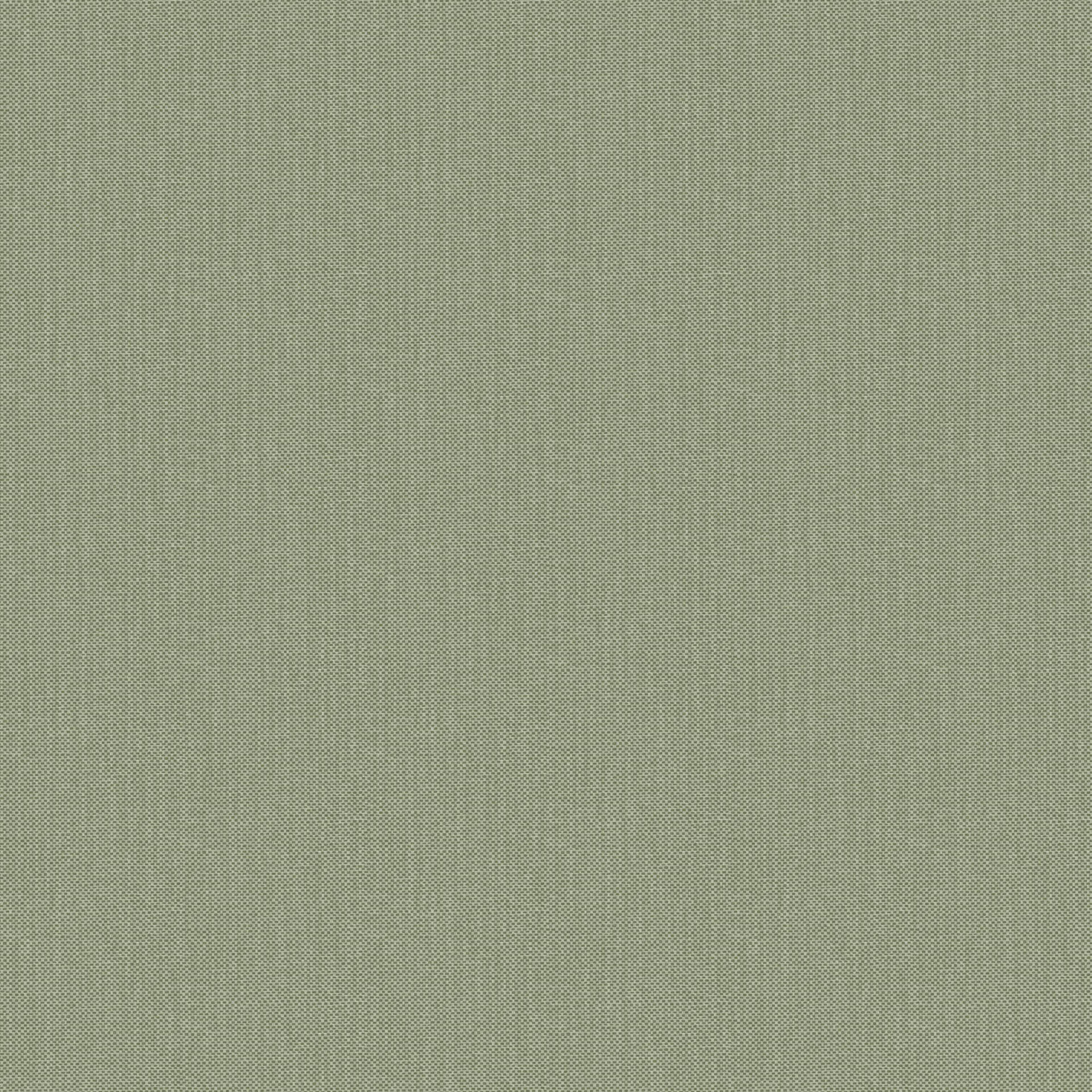NAE2101567311