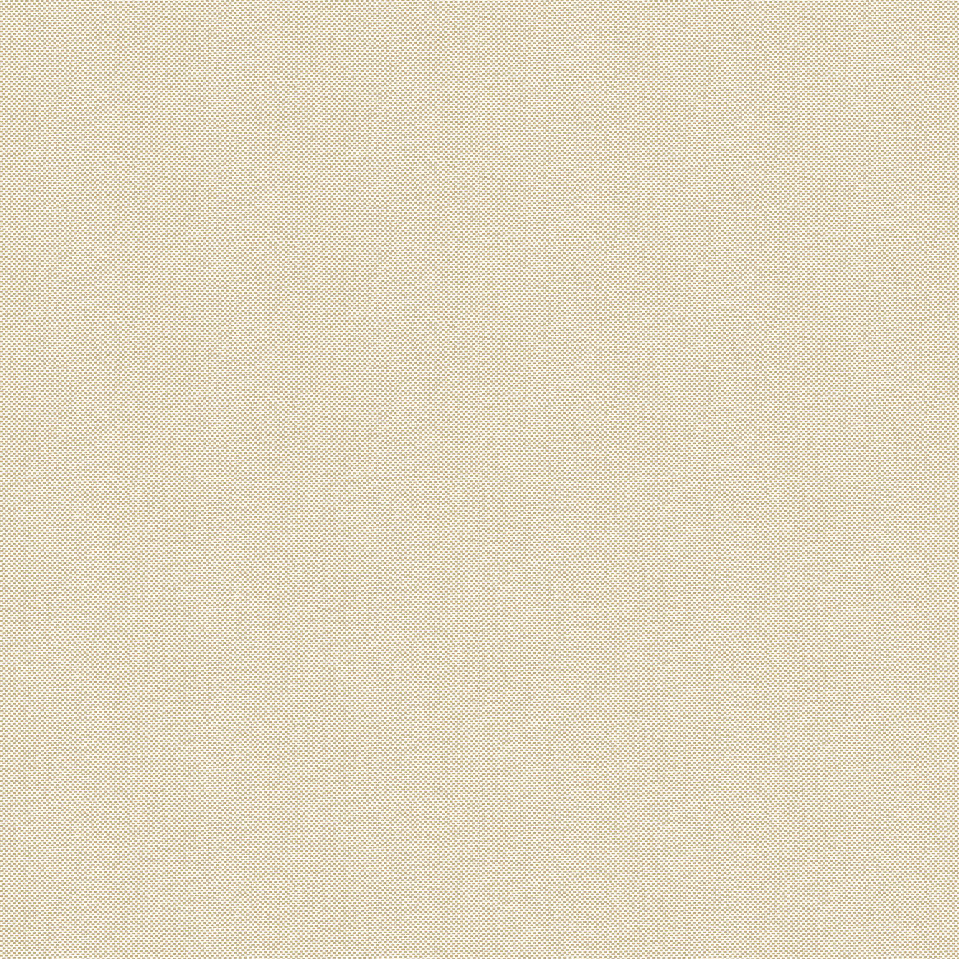 NAE2101570026