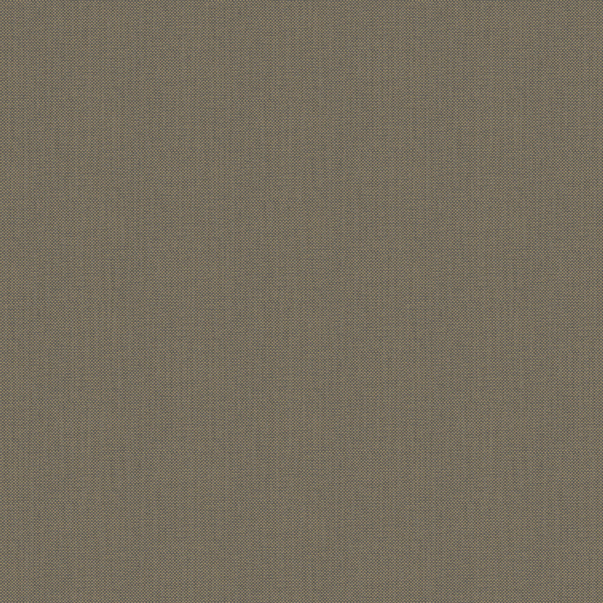 NAE2101579120