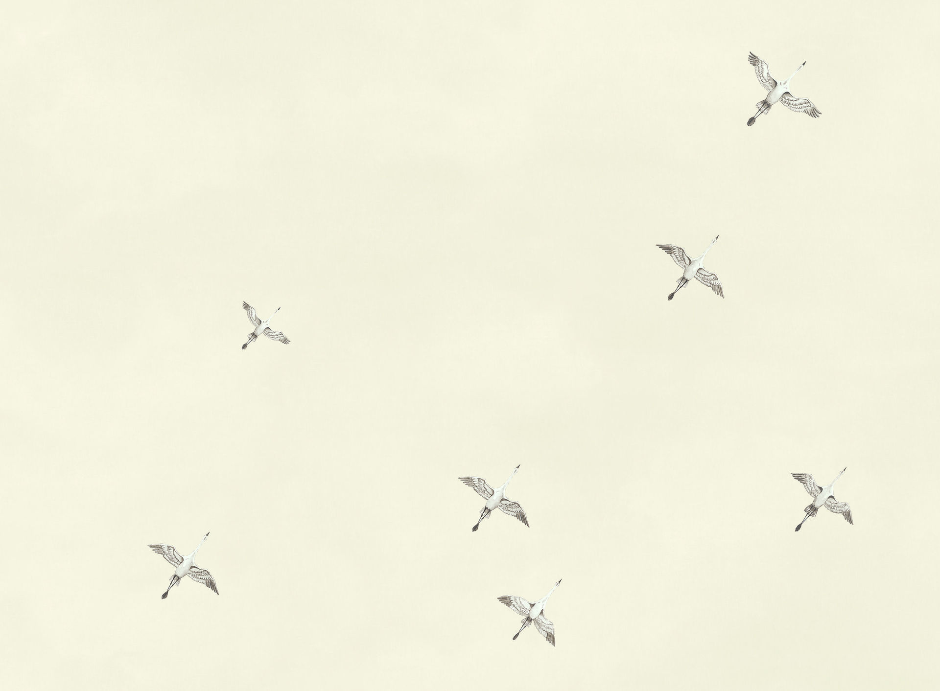 panoramas 74691324