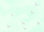 panoramas 74691426
