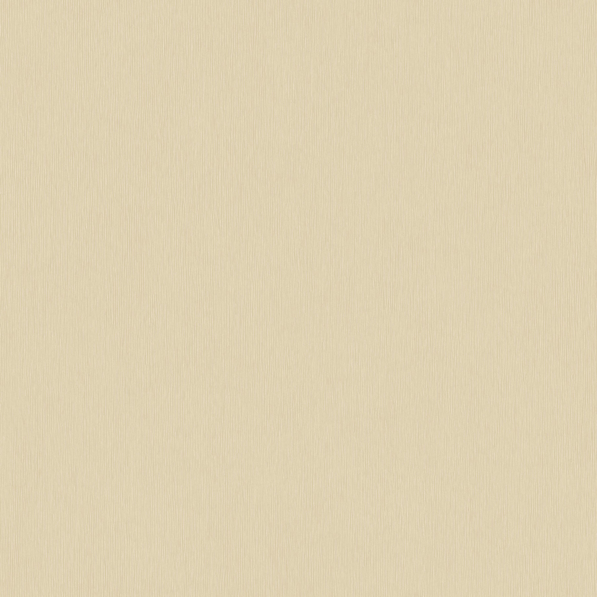 202521523