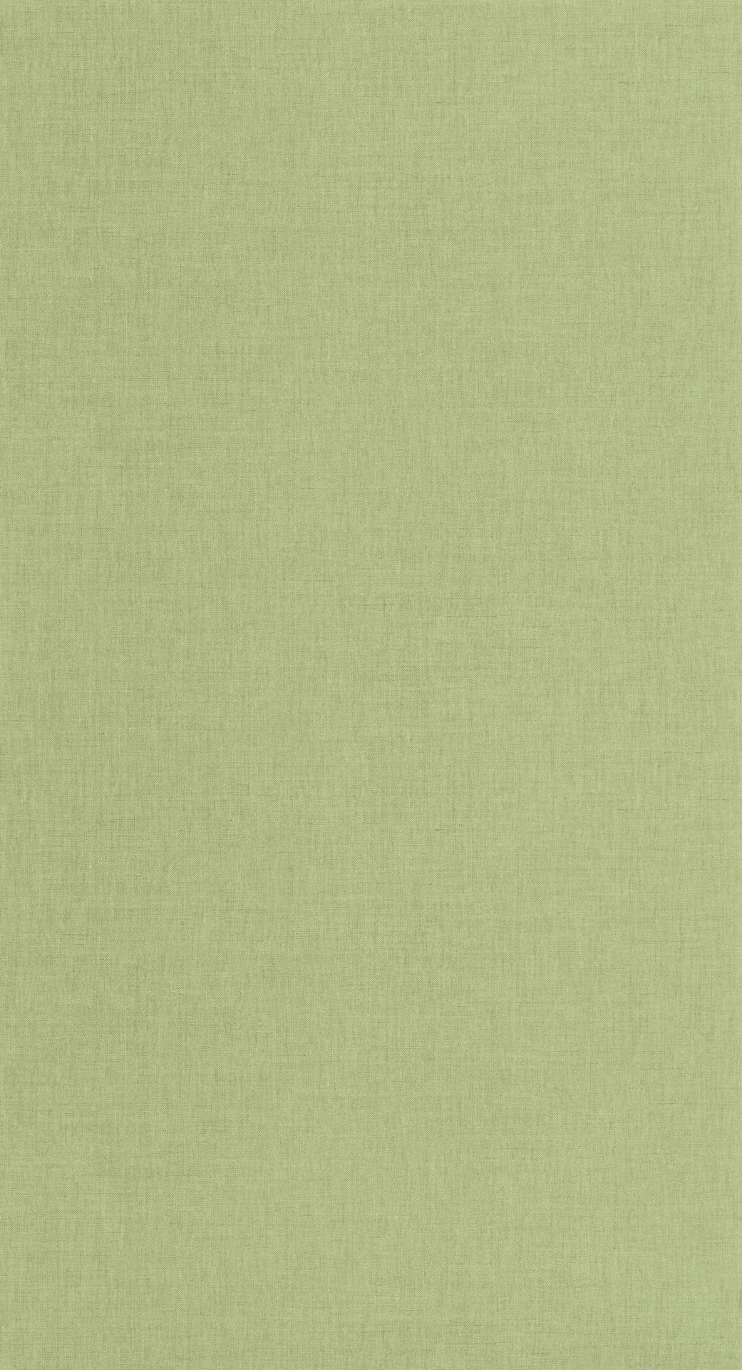 HKC100607312 caselio 