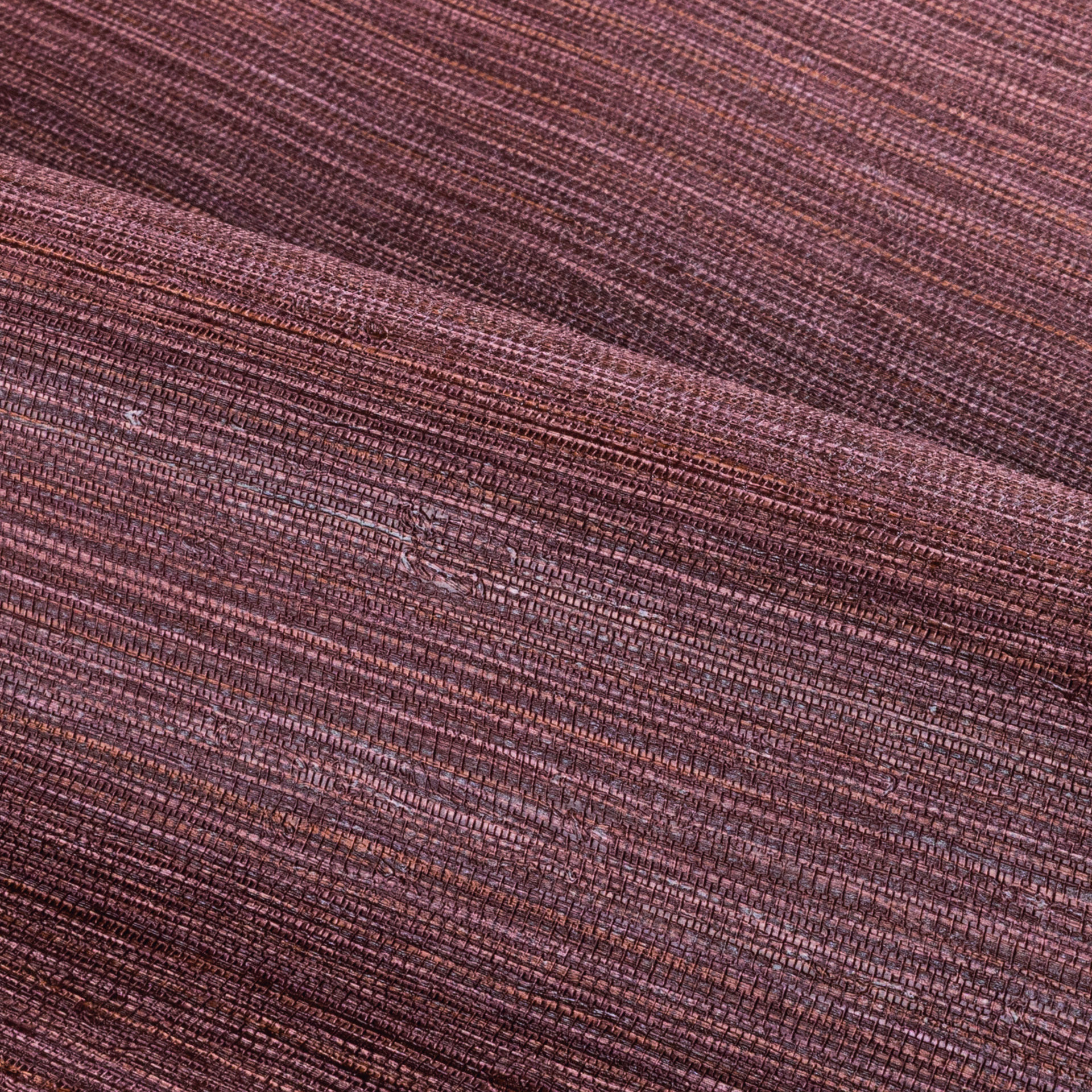 racines 78213160