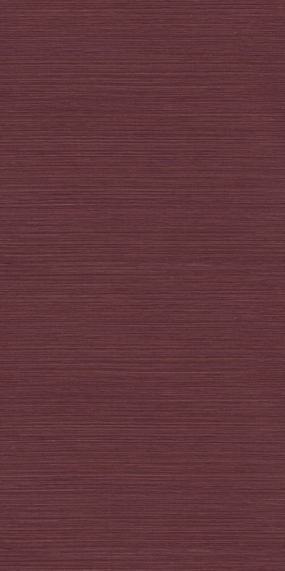 racines 78213160