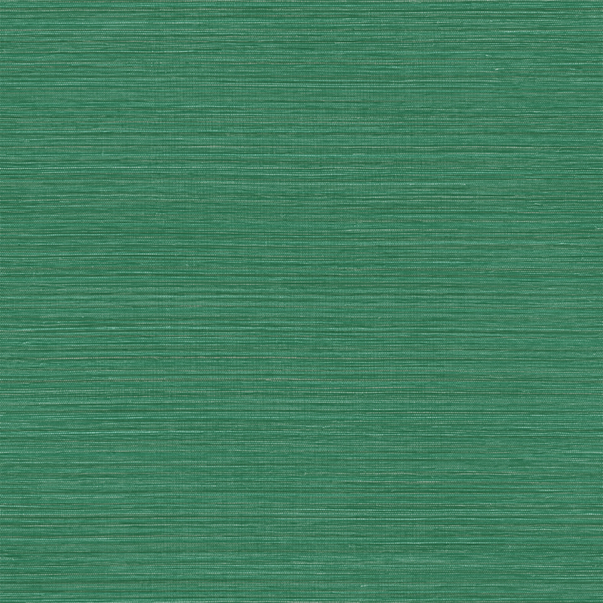 78213262