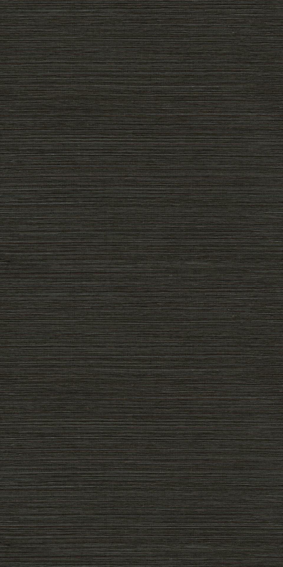 racines 78213466