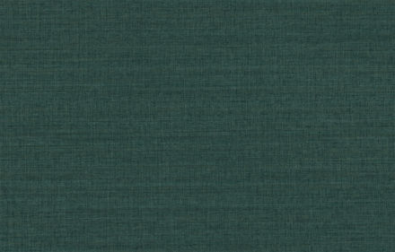 70173670