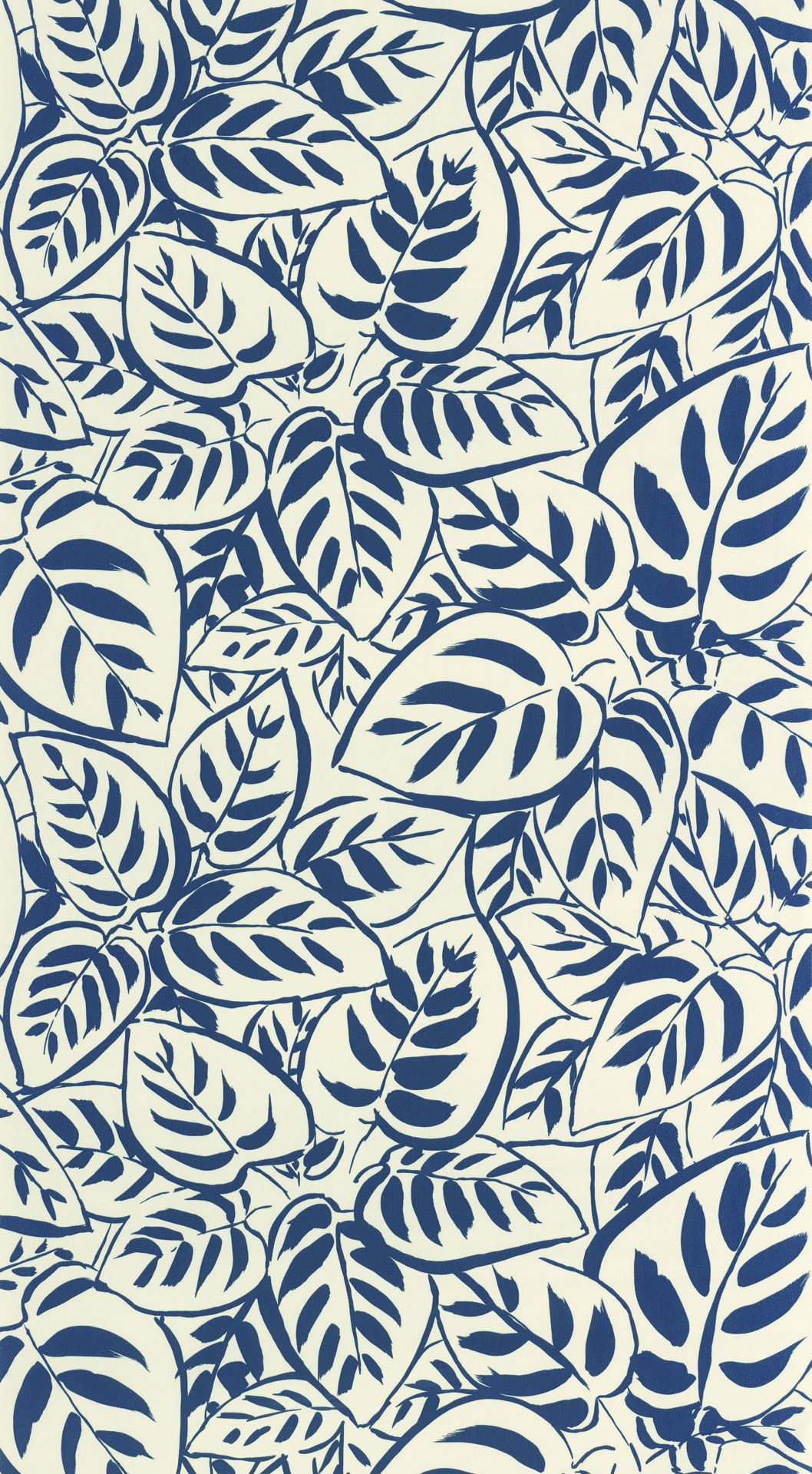 107556012 blue shades caselio