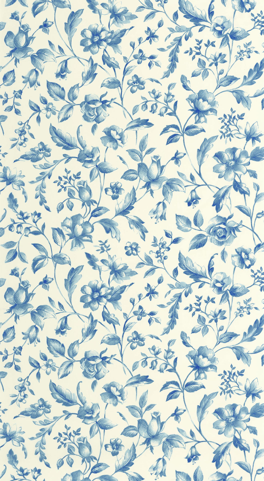 107506110 blue shades caselio
