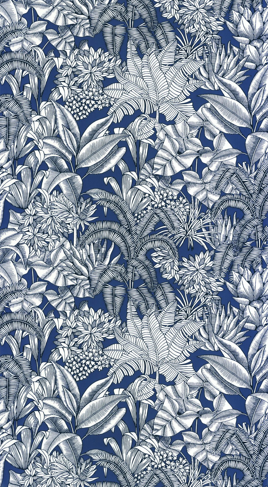 107486160 blue shades caselio