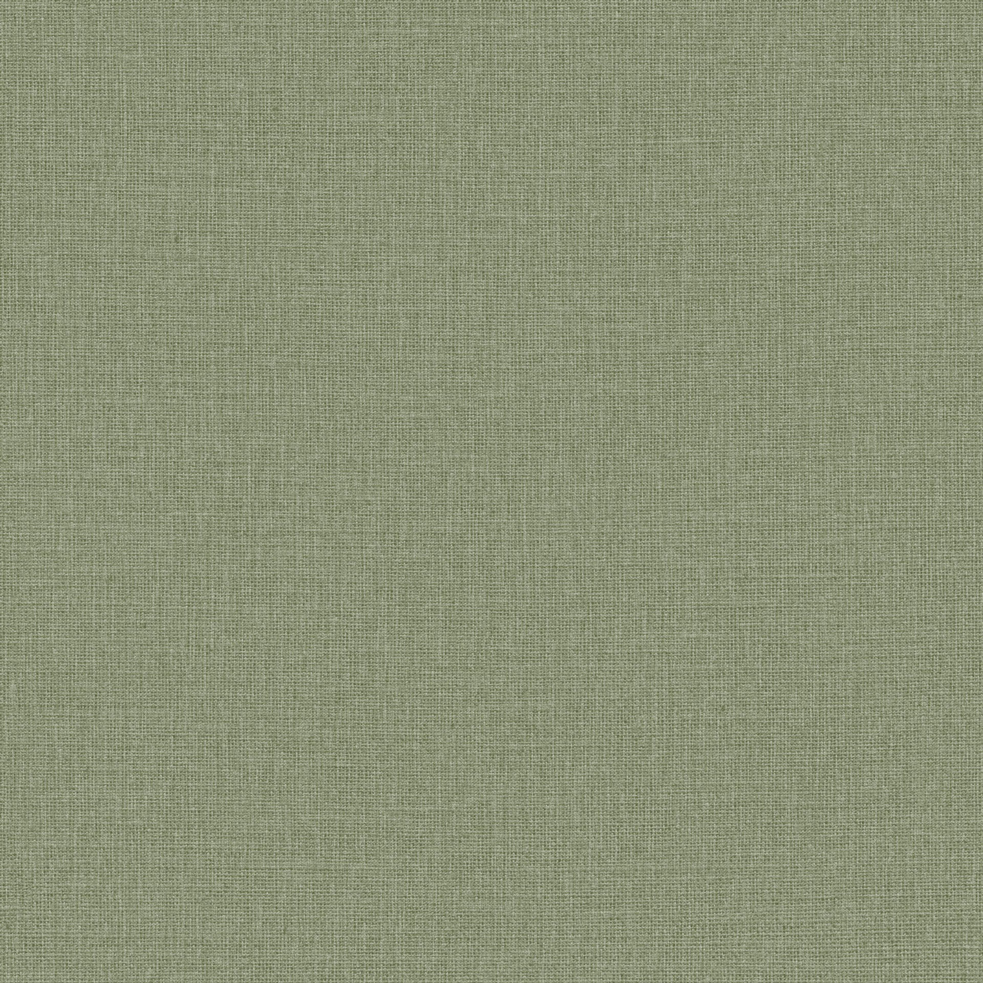 104017650